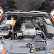 orangefg9.jpg